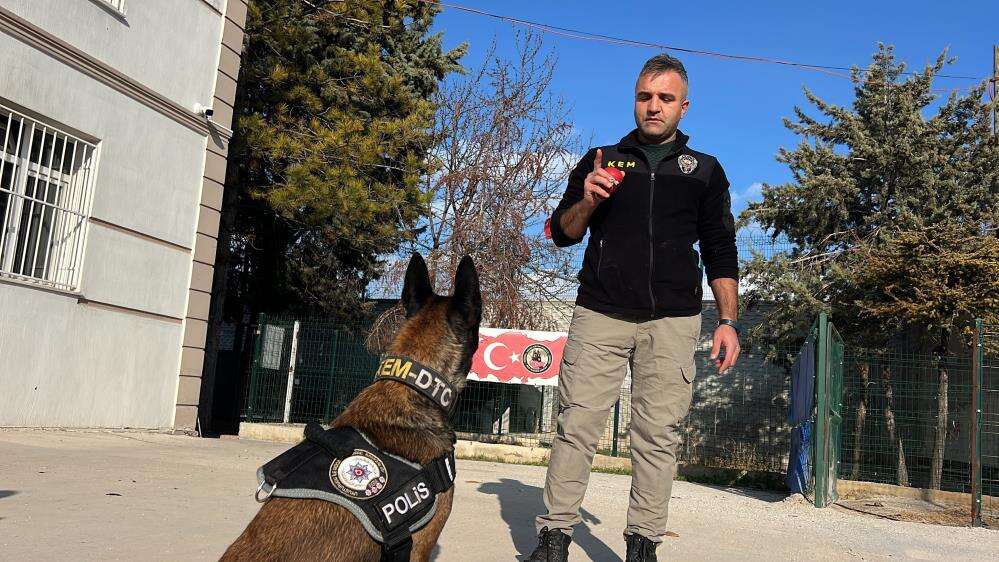 Konya’daki hassas burunların oyunu zehir tacirlerini yakıyor 1